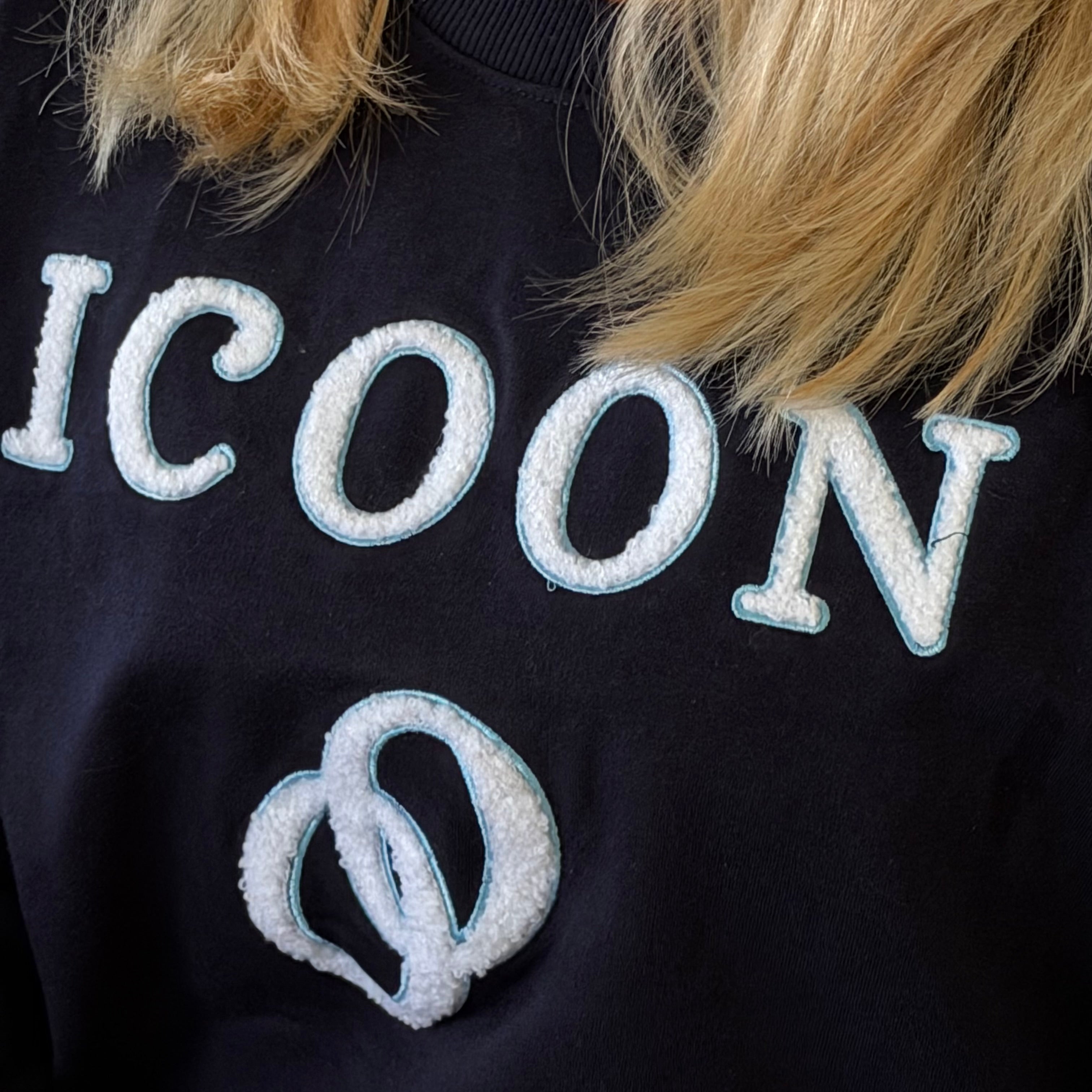 Collage sweatshirt